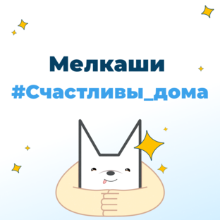  Собаки уехавшие домой