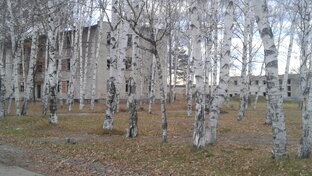 Про Дальний Восток