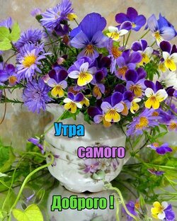 Поздравления