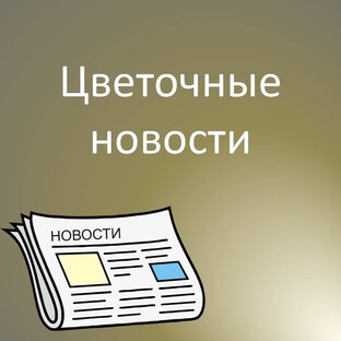 Цветочные новости