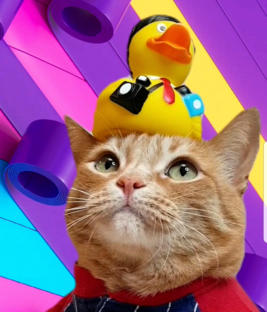 Котоклипы📺