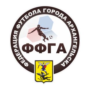 Мини-футбол в Архангельске