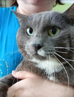 Нашли кураторов