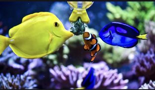 Популярное и интересное