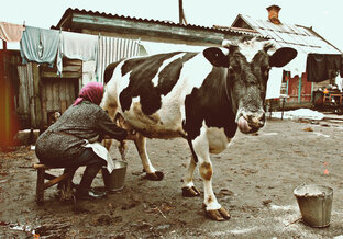 Сельское хозяйство