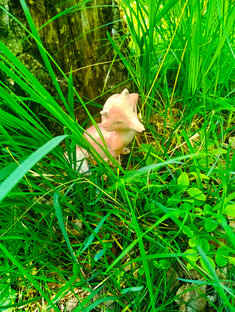 Лепка из глины