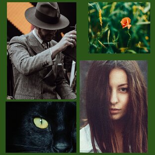 Осенняя идиллия 