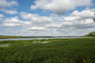 Дома и участки Лужского района