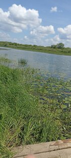 Илевна в июле