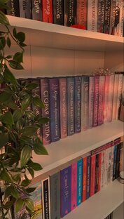 Отзывы на книги ❤️‍🩹