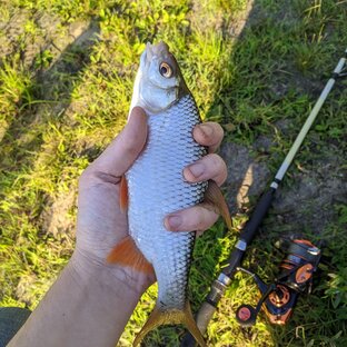 Полезные статьи о рыбалке!