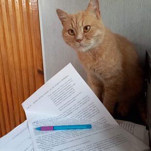 Обзоры романа "Наследники Византии"