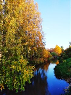 Парки Санкт-Петербурга.