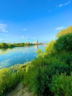 Художественные рассказы