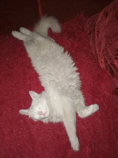 Приколы, 