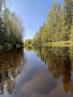 Терский берег