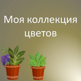 Моя коллекция цветов