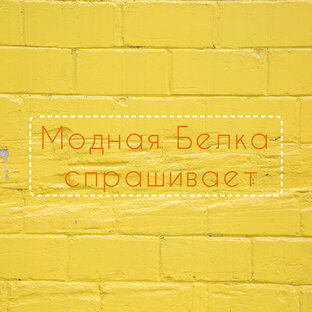 Модная Белка спрашивает!