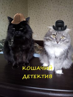 Кошачий детектив