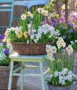 Истории вдохновения и ярких впечатлений.