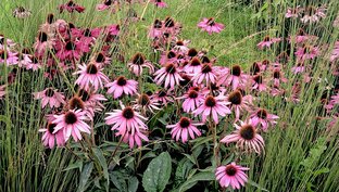 Мои фотографии