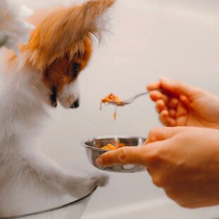 Рецепты лакомств