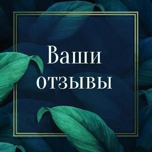 Отзывы