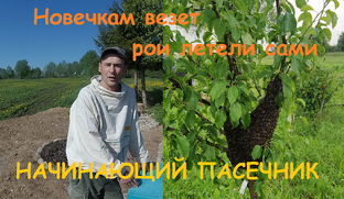 сезон 2020 