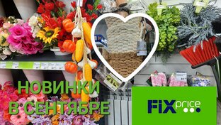 Обзоры из Фикс Прайса видео.