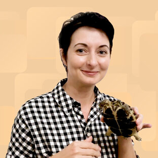 Уроки с Анной Зак