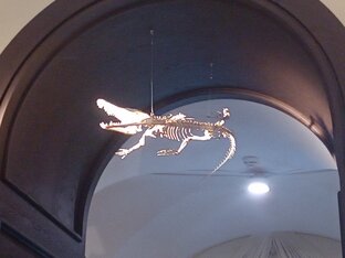 Репосты чего либо)