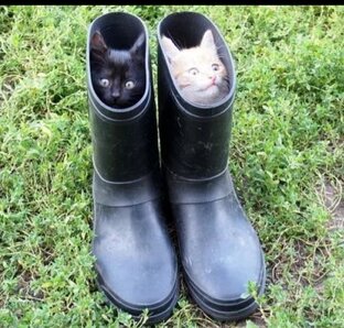 Стихи с улыбкой