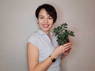 Огород на подоконнике