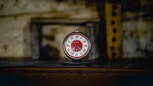 Фото каждый день