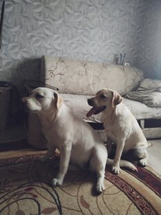 Хорошего дня 
