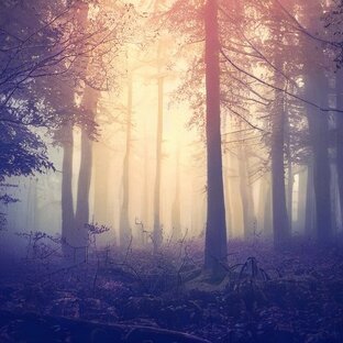 Паранормальные зоны и явления мира