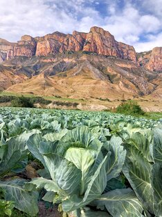 Путеводитель по Дагестану
