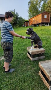 Похвала, лакомство, поощрение