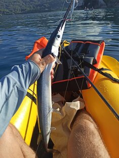 Shorts: приколы от «Лечу на рыбалку»