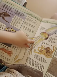 Книги для деток