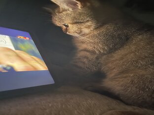 Инструкция жизни