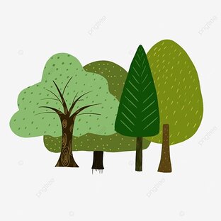 🌳🌲