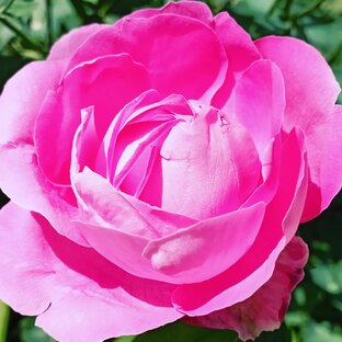 Краски природы