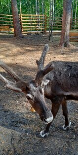 Ноябрьск август 2023