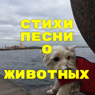 Стихи и песни о животных