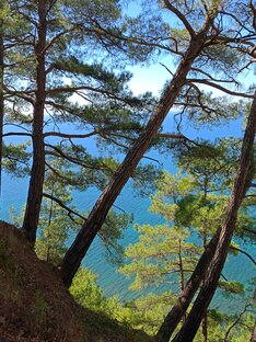 Краснодарский край