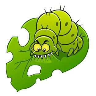 Вредители Орхидей