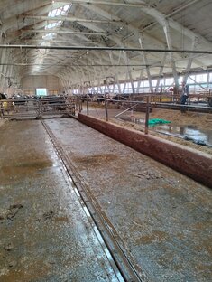 Зачистка животноводческого помещения.