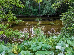 Река Песковатка