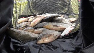 рыбалка летом